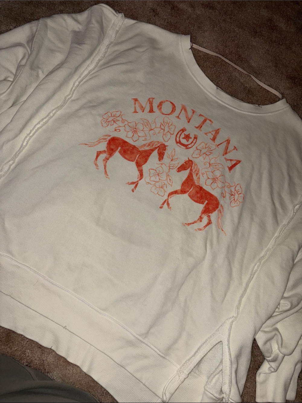 We the Free Montana Camden sweatshirt - medium